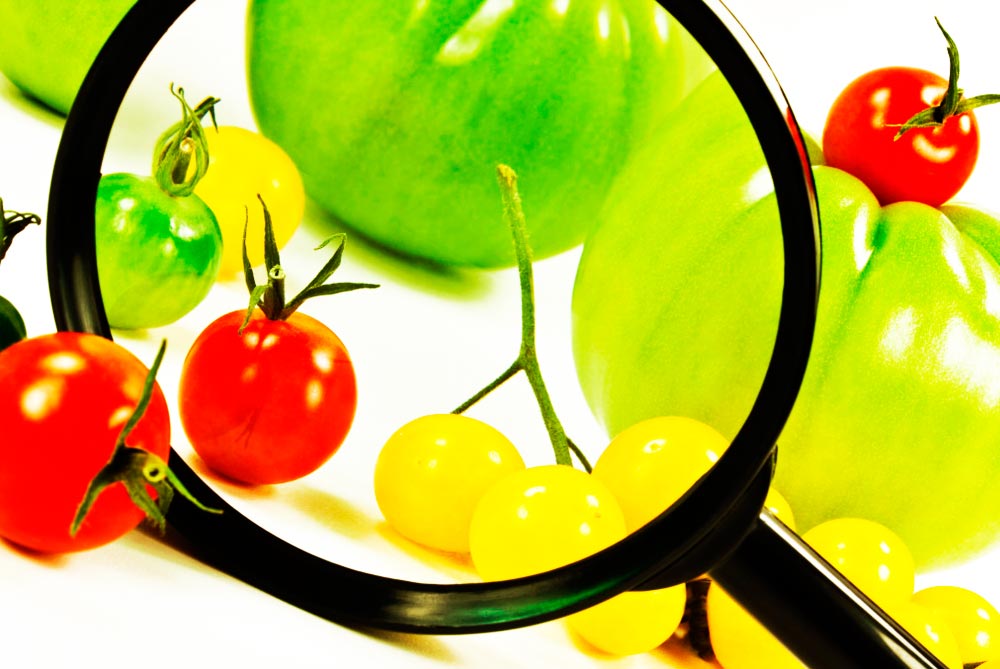 Lee más sobre el artículo Nutriscore y código Paos como futuro de Etiquetado en Alimentos